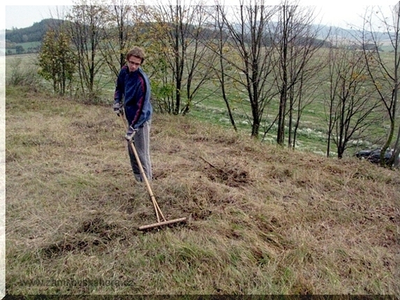 Hrabání stařiny