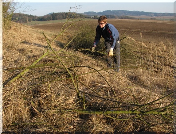 Sběr vyřezaného materiálu